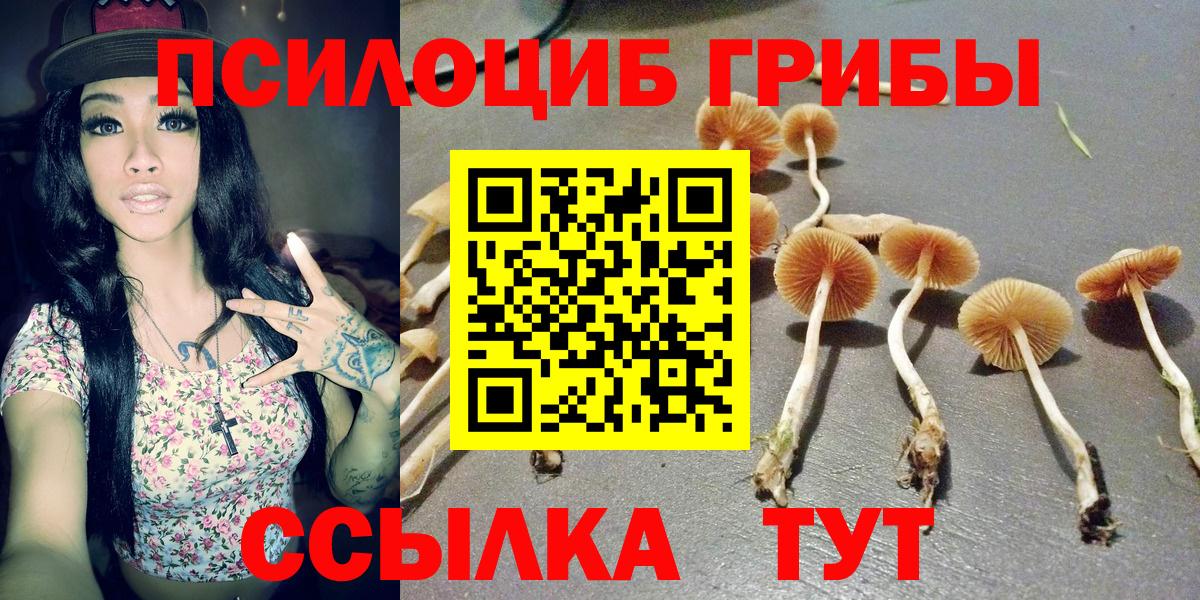 Псилоцибиновые грибы Psilocybe  Псилоцибиновые грибы GOLDEN TEACHER  Вход с VPN  Курганинск 